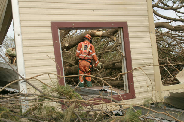Best Tree Trimming and Pruning  in Randolph Af, TX