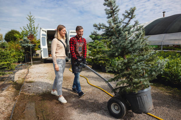 Best Lawn Watering Services  in Randolph Af, TX